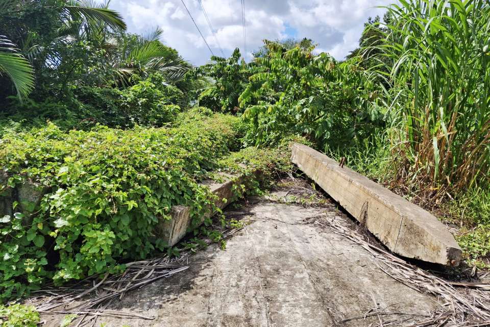 Ong Mai Van Tan – Giam doc So Xay dung kien nghi, So Tai chinh xem xet, tham muu UBND TP Can Tho bo sung 45,997 ti dong von trung han giai doan 2021–2025, dong thoi chuyen tiep sang nam 2026 de Ban Quan ly Du an trien khai thi cong, nghiem thu va thanh toan cac hang muc da hoan thanh (anh chup thang 6.2024).