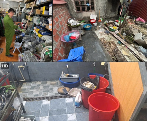 Violations in Hoa Binh ward. Photo: Hai Phong Police