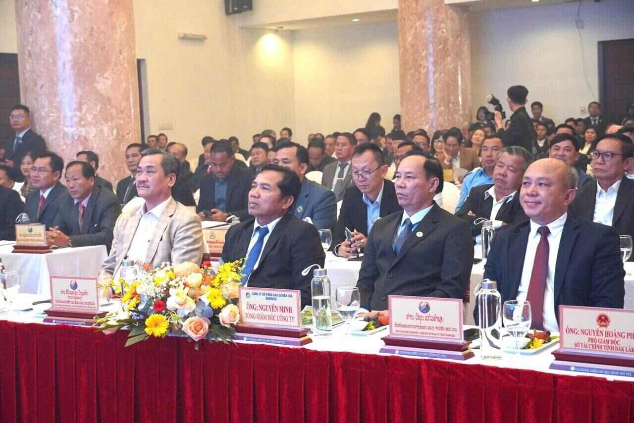 Quang canh hoi nghi. Anh: Bao Trung