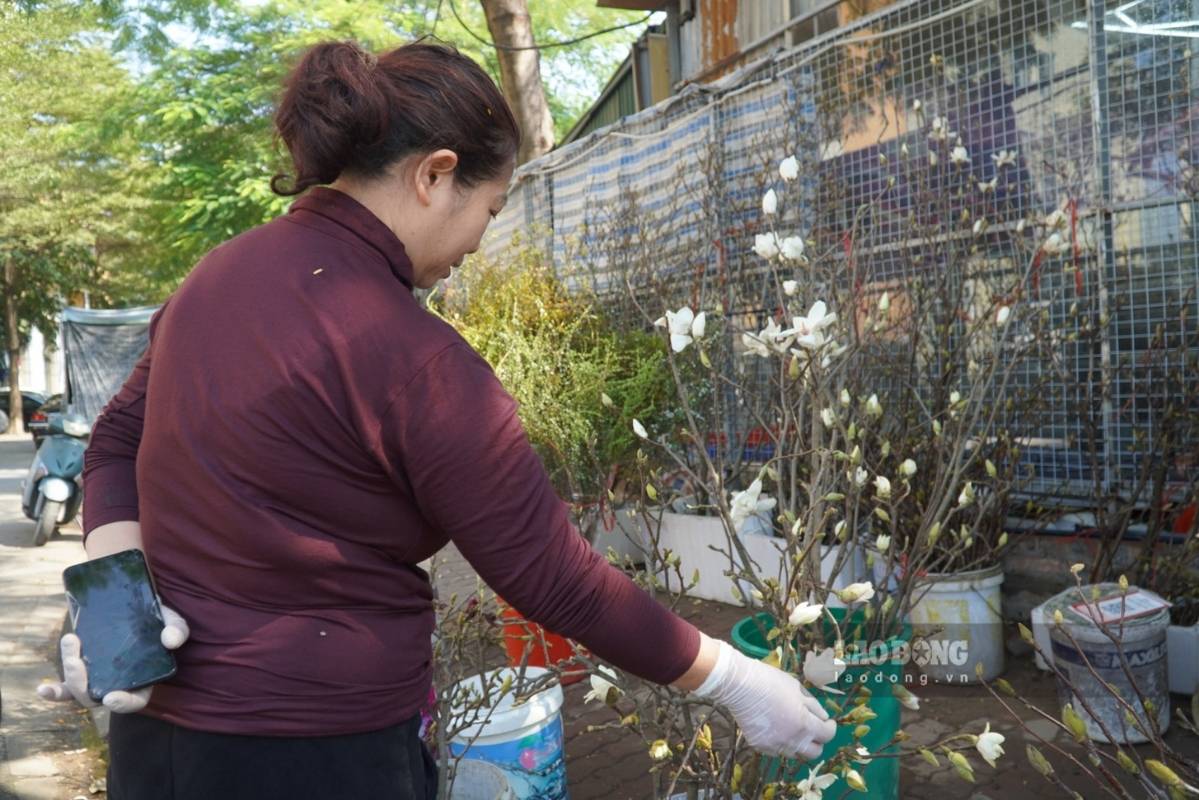 Tieu thuong nhan dinh thi truong kha tram lang trong khi moc lan van duoc ua chuong. Anh: Thanh Binh 