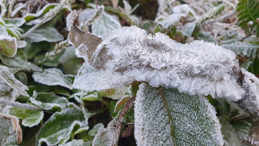 Temperature drops sharply, frost appears in the border area of Nghe An province. Photo: Ngoc Anh
