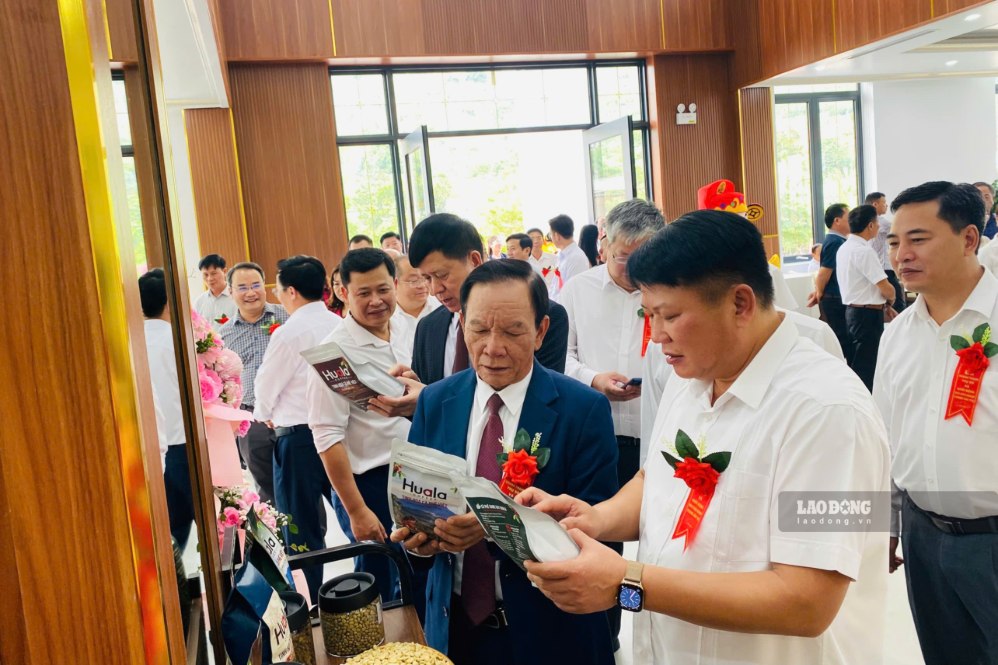 Son La starts construction of 95 billion VND deep coffee processing plant