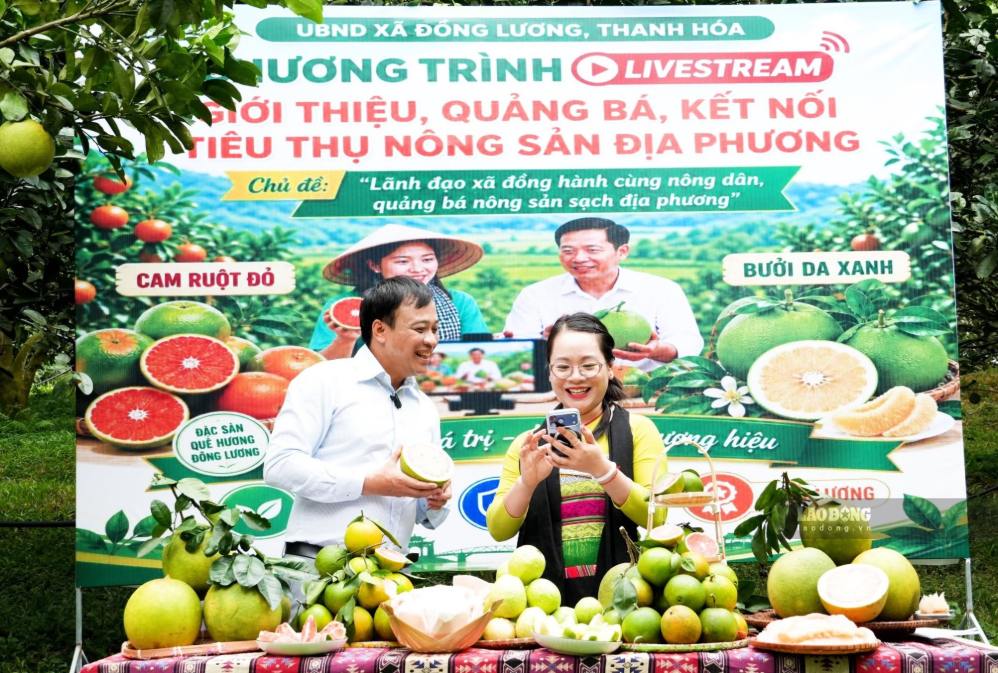 Thanh Hoa deploys digital transformation model in 166 communes and wards
