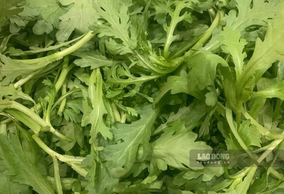 睡眠を助け、血圧に良い野菜