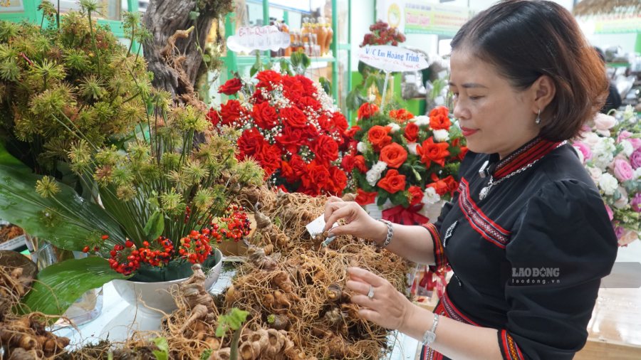 Voters in mountainous Da Nang propose removing difficulties for Ngoc ...
