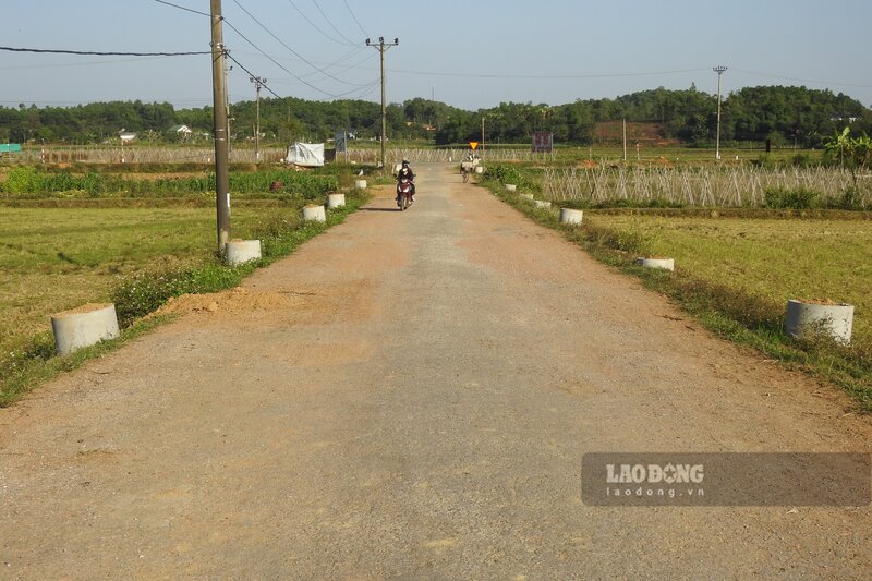 Một tuyến đường bê tông nông thôn tại xã Đông Thành. Ảnh chụp tháng 10.2026: Tô Công