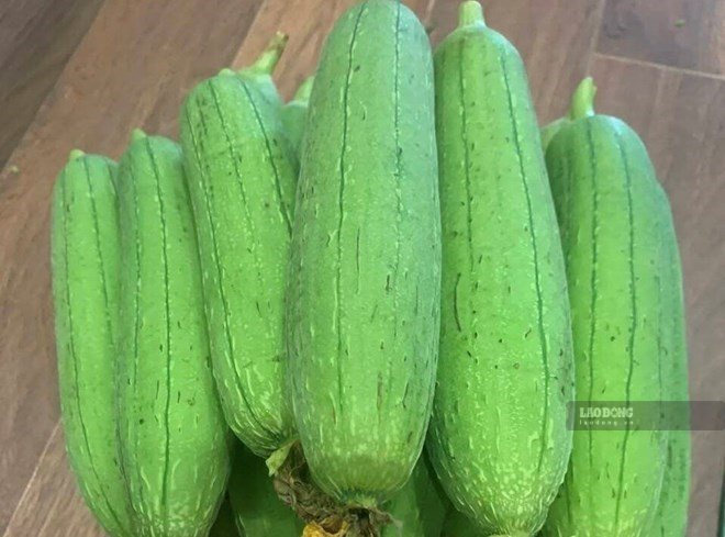 Eating loofah properly to support uric acid control, good for kidneys