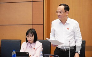 National Assembly Deputy: In some places, a commune or ward has to use up to 20 professional software
