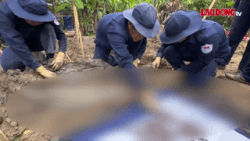 Quang Tri collects 1,339 DNA samples of relatives of martyrs in phase 4