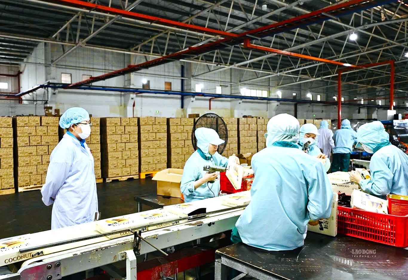 Doanh nghiệp nhỏ và vừa Tây Ninh được tiếp sức trên hành trình chuyển đổi số. Ảnh: Huỳnh Du chụp ngày 20.8