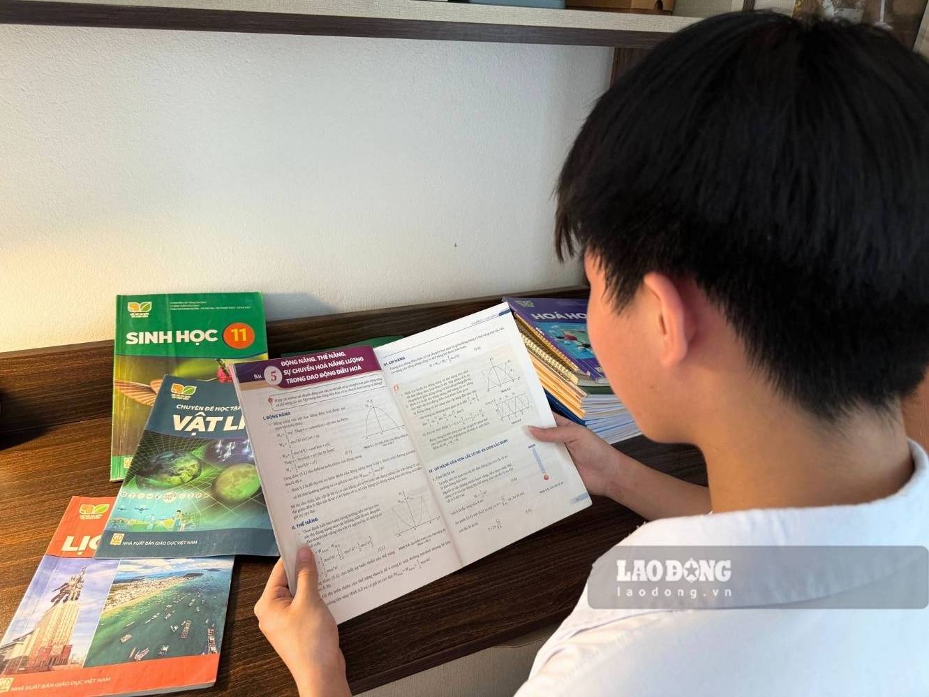 新しい教科書セットは、一般教育の安定した基盤を築く必要があります。