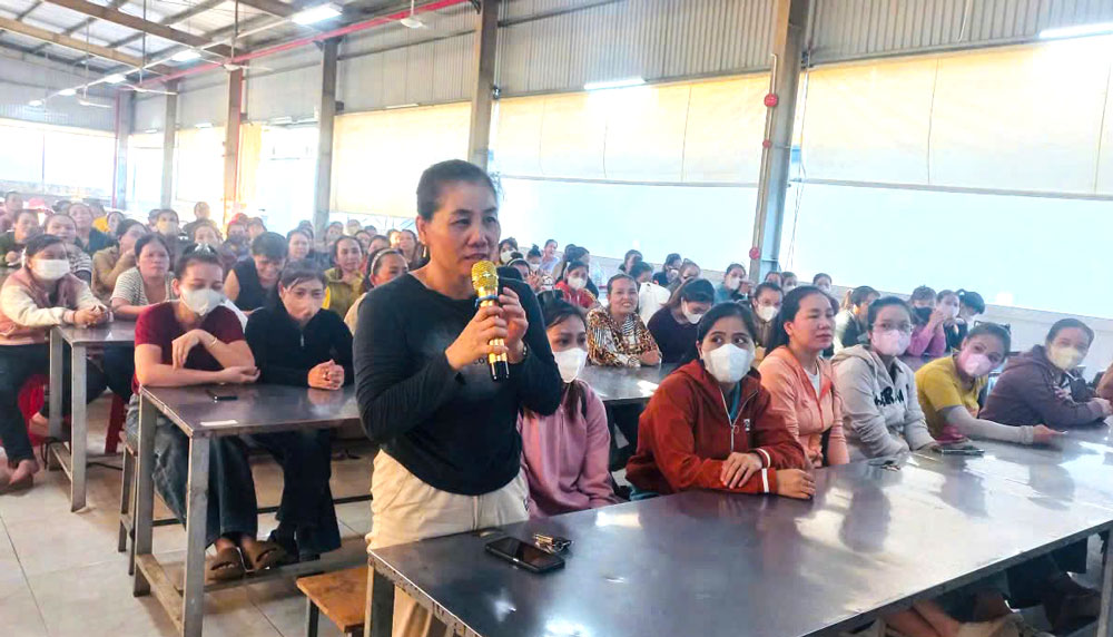 92% of Dien Bien's population has had free periodic health check-ups