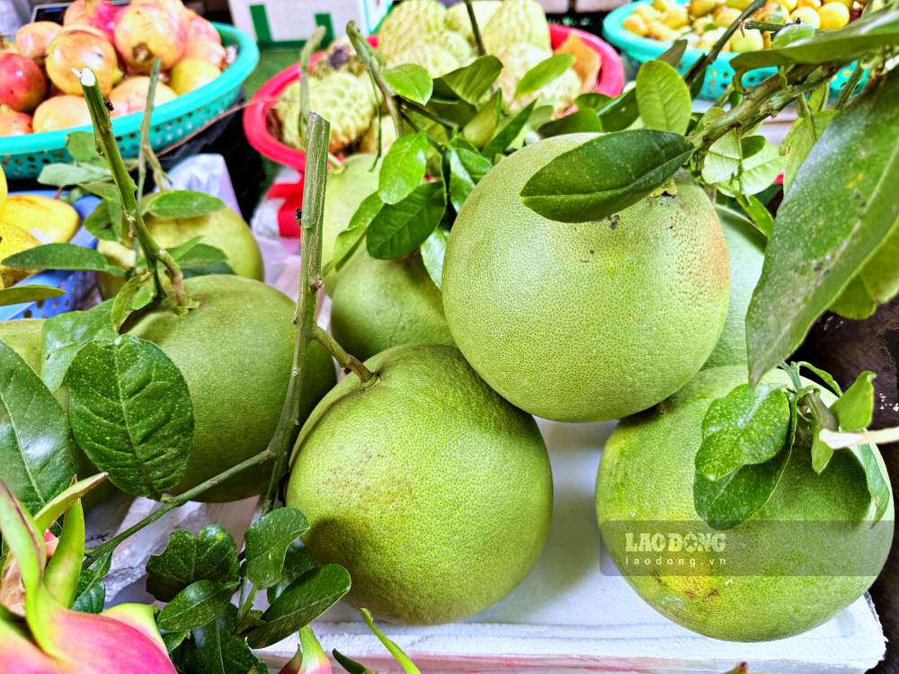 Nguồn Vitamin C tự nhiên dồi dào trong quả bưởi giúp kích thích chức năng thận, tăng tốc độ bài tiết để hạ nhanh axit uric dư thừa thông qua đường tiểu.