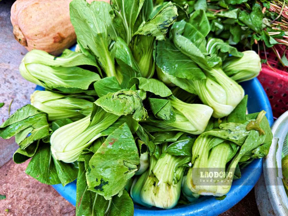 Các loại rau họ cải như bắp cải, súp lơ rất nghèo purin nhưng dồi dào chất xơ, giúp giảm áp lực lọc cho thận và hỗ trợ đào thải axit uric ra ngoài cơ thể một cách an toàn.