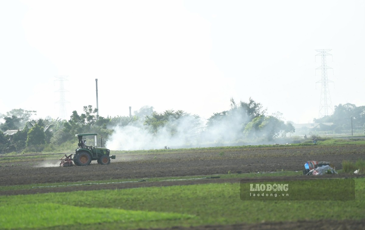 Khói đốt rơm rạ mù mịt tại một số cánh đồng xã Nam Ninh, tỉnh Ninh Bình. Ảnh: Lương Hà (chụp ngày 20.10)