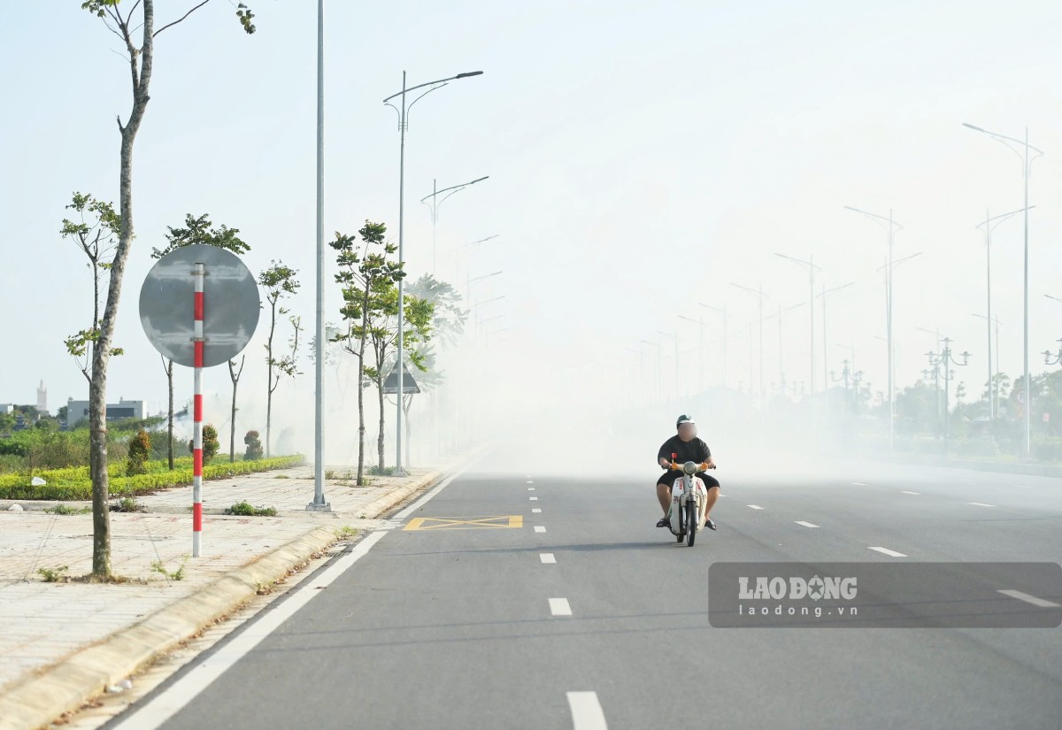Khu vực cánh đồng phường Hồng Quang, tỉnh Ninh Bình. Ảnh: Lương Hà