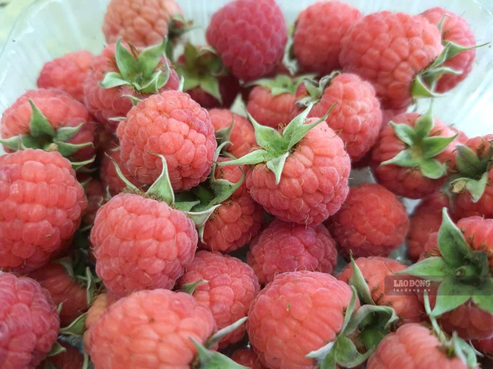 Breakfast foods that do not affect blood sugar and help heart health