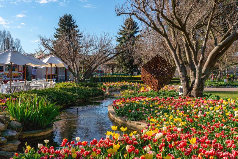 Những khu vườn rực rỡ sắc hoa tạo nên sức hút riêng cho Southern Highlands vào mùa xuân. Ảnh: Bang NSW