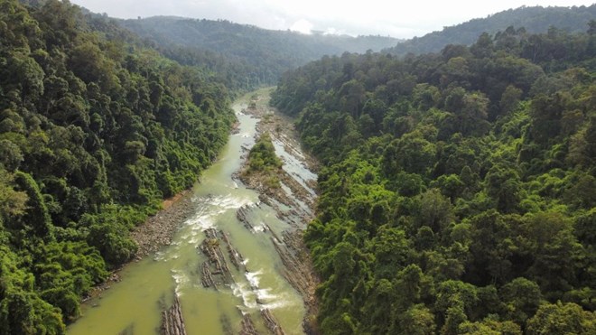 Lâm Đồng dự kiến chuyển hơn 272km2 đất Vườn quốc gia Cát Tiên về Đồng Nai