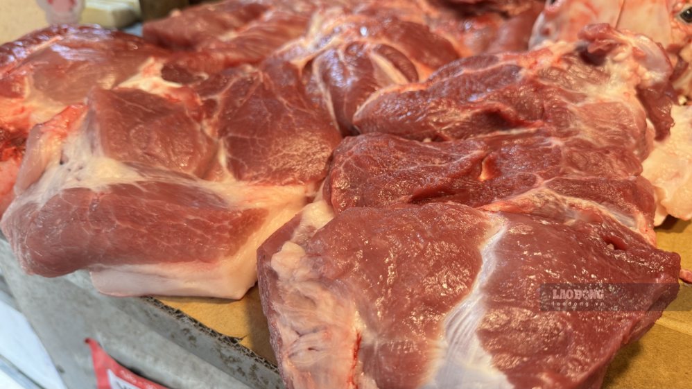 Live hog prices today, October 24th: Sharp drop, many places reduced by ...