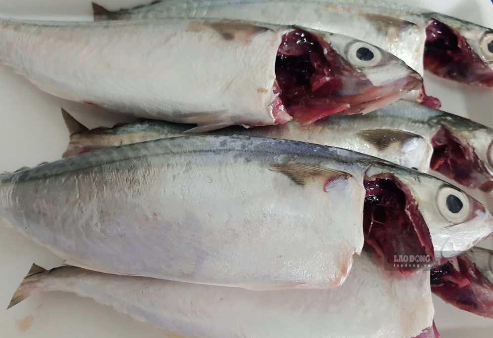 3 façons de préparer du poisson-chat argenté délicieux pour un repas de ...