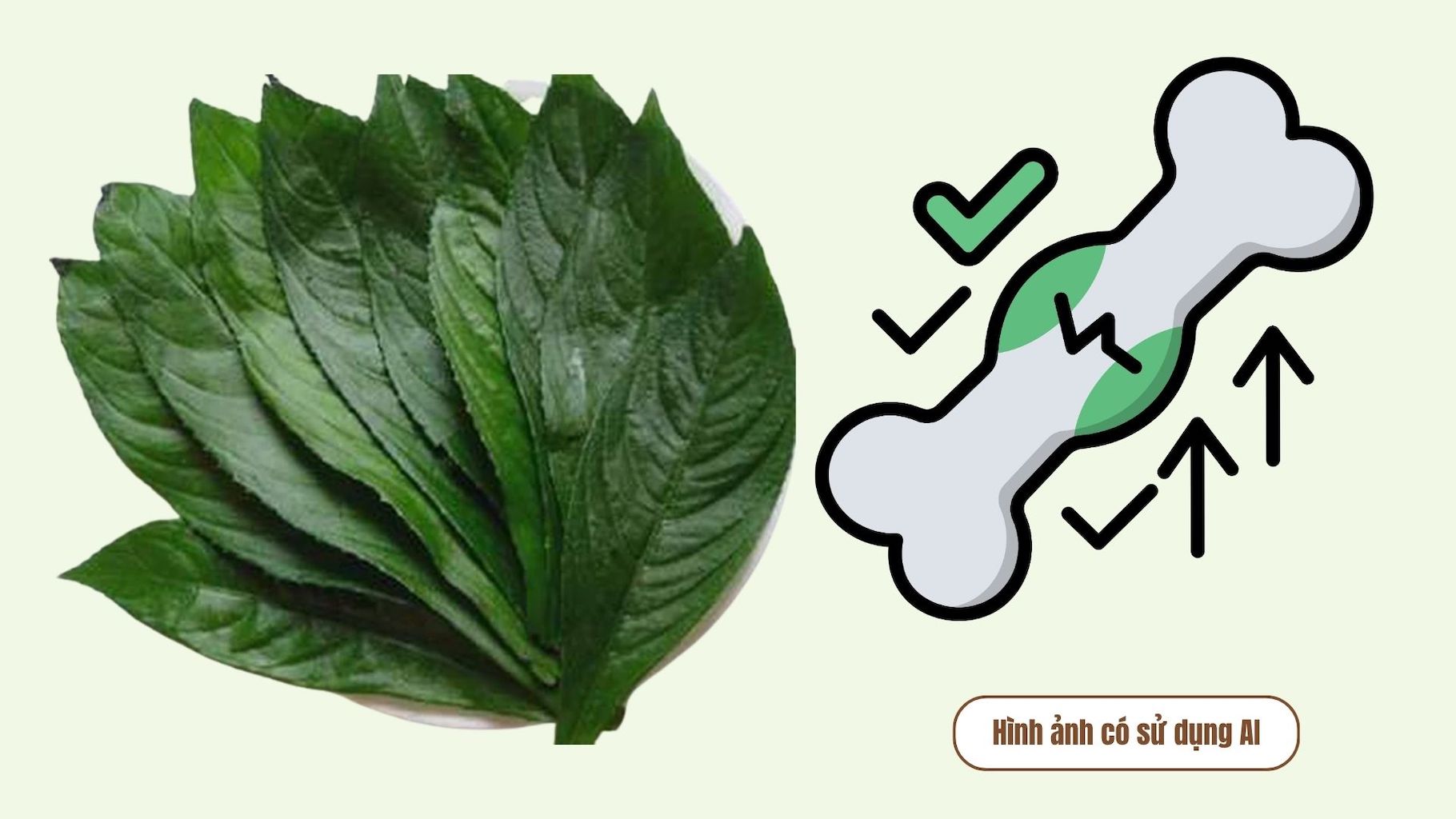 Familiar seeds that help lower uric acid