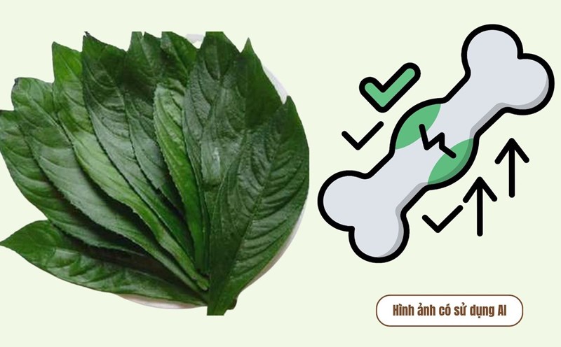 Lower Support Car Familiar seeds that help lower uric acid