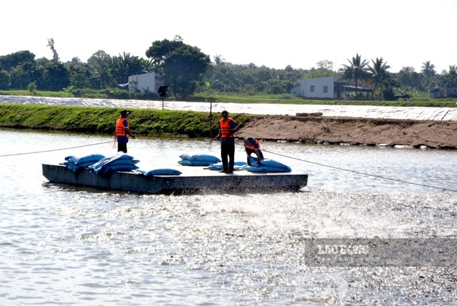 Đồng Tháp phấn đấu trở thành trung tâm phát triển thủy sản của vùng