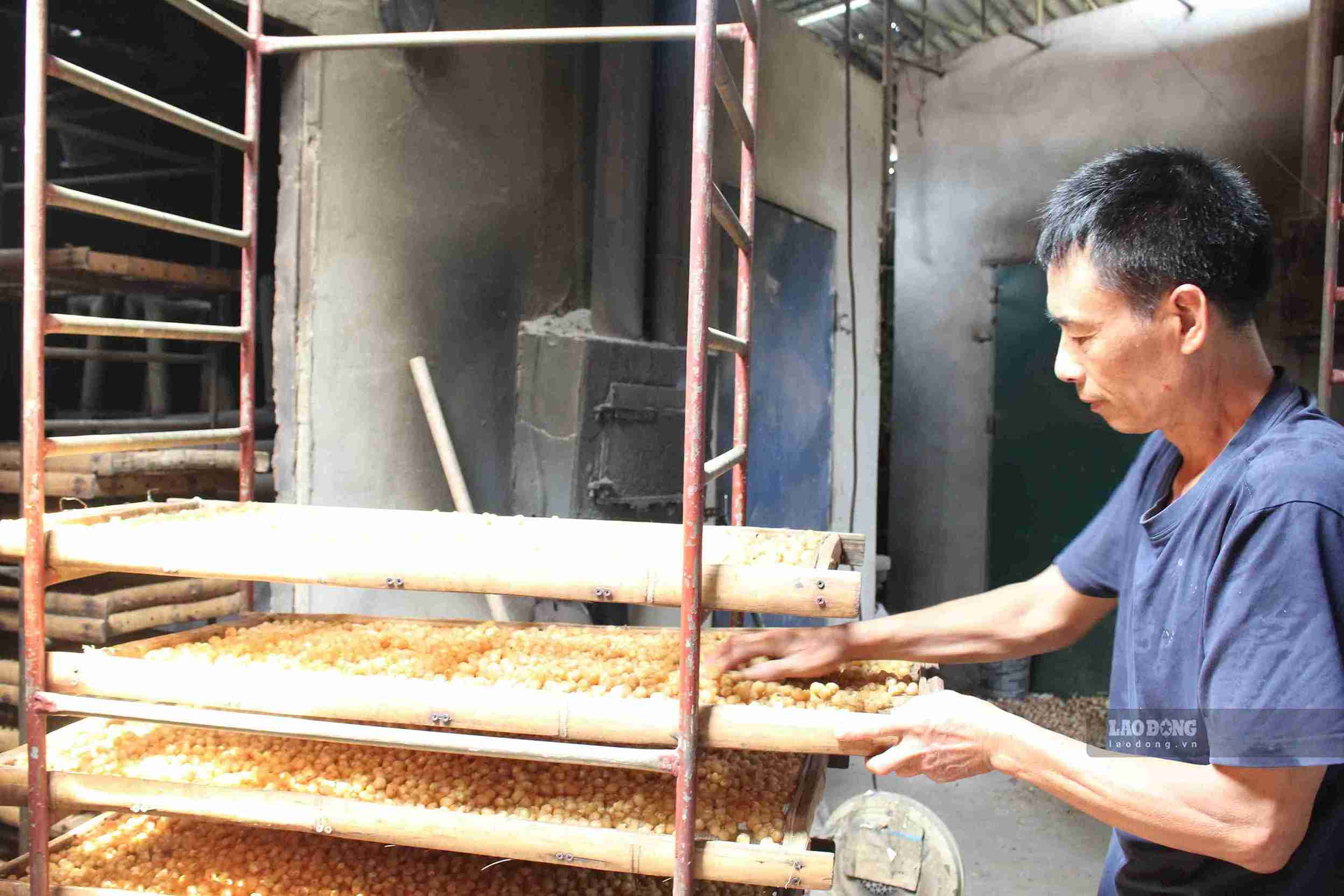 Indication Expansion Hung Yen expands geographical indication, protects longan brand