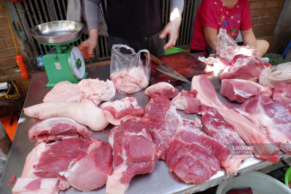 Live hog prices today, October 24th: Sharp drop, many places reduced by ...