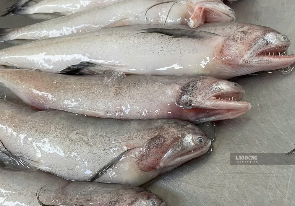 How to cook sweet and refreshing sweet potato fish soup, changing the ...