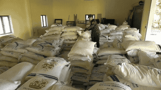 Border guards arrest and seize 36 tons of sugar in Quang Tri