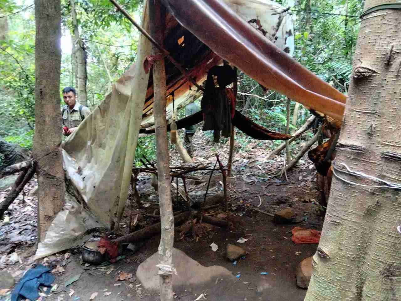 More than 200 animal traps and homemade guns discovered in Chu Yang Sin ...