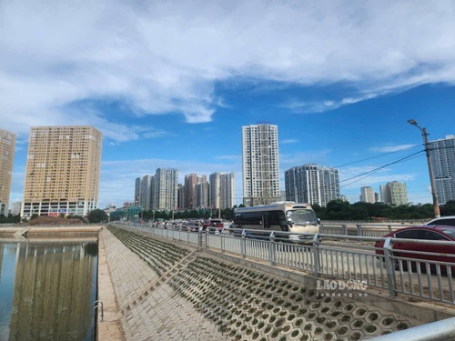 Hanoi informs about the relocation of green trees on Trung Thu street