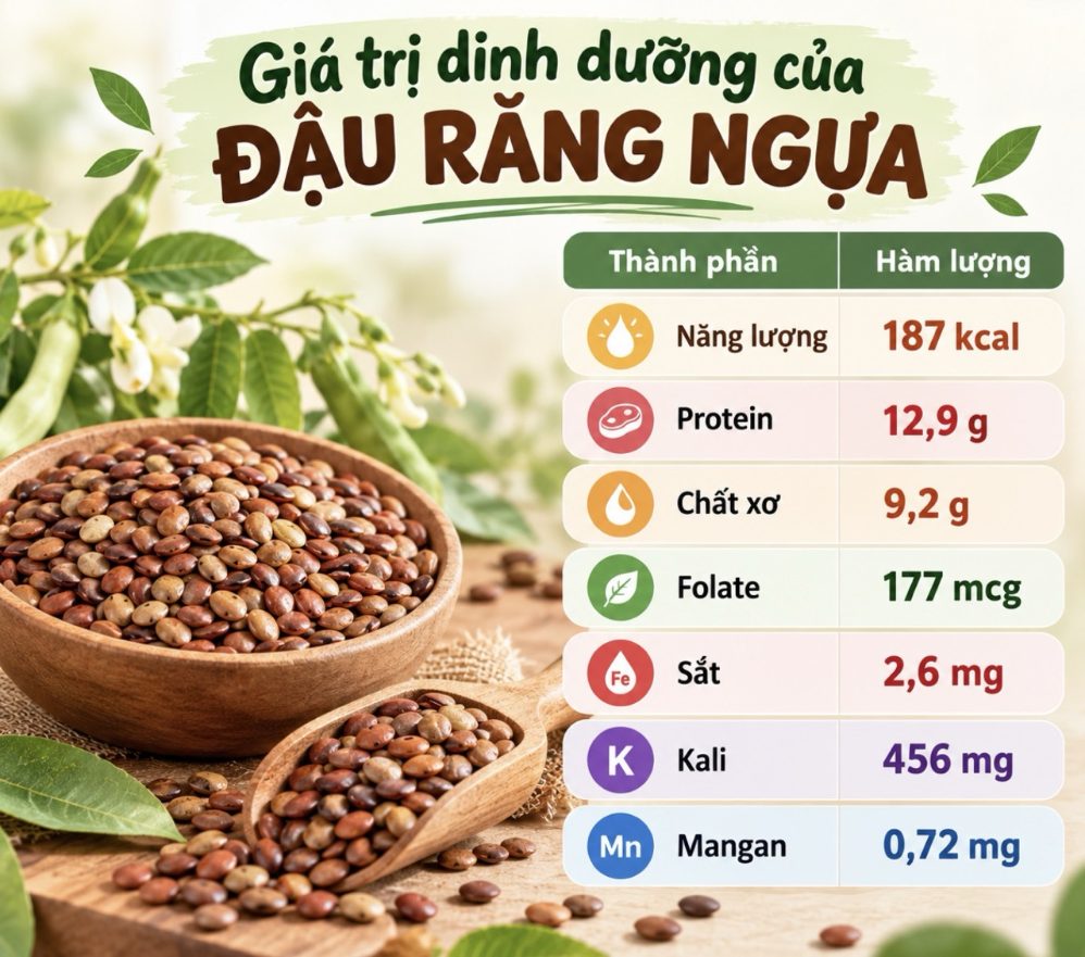 Salt Fat Lable Low-fat foods, effective supplements for plant protein and fiber