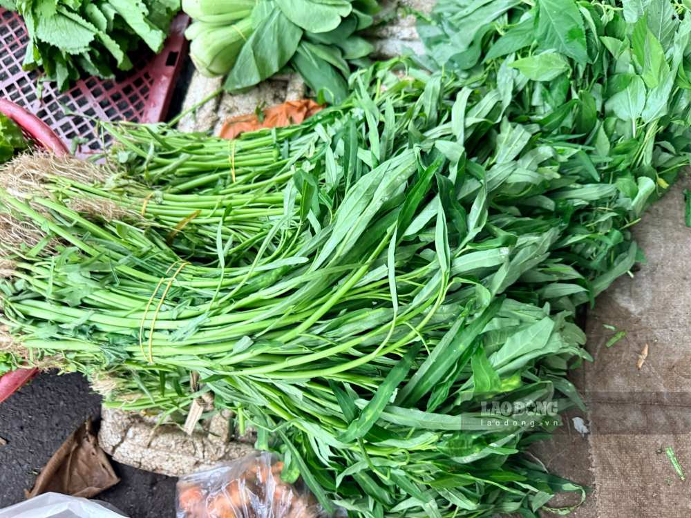 Ưu tiên các món rau muống luộc hoặc nấu canh nhạt giúp bổ sung chất chống oxy hóa, bảo vệ thành mạch và duy trì huyết áp ổn định. Ảnh: Trà My