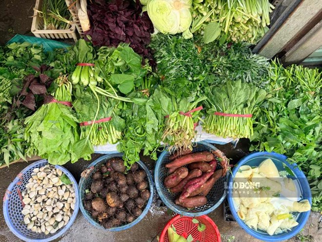 3 loại rau rẻ tiền giúp hỗ trợ ổn định đường huyết và huyết áp