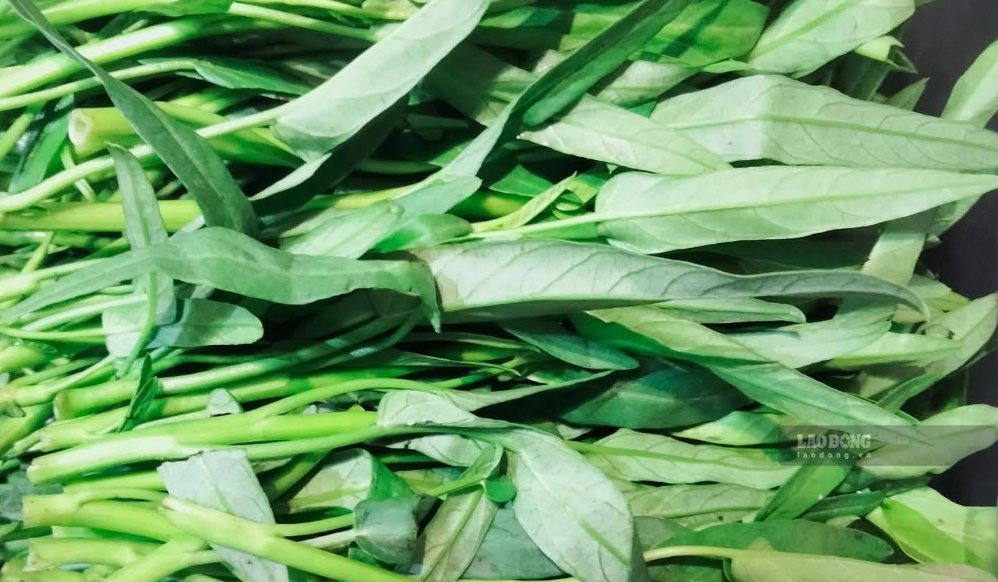 Vegetables that help reduce the risk of high blood pressure, good for ...