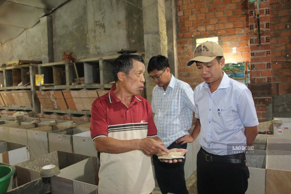 Các hộ nuôi dúi đã phát huy hiệu quả việc đa dạng hóa sinh kế ở khu vực nông thôn. Ảnh: Hữu Long