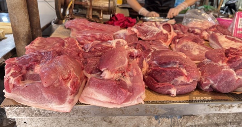 26th Graphics Live hog prices today, October 26th: Slight decrease, the lowest is ...