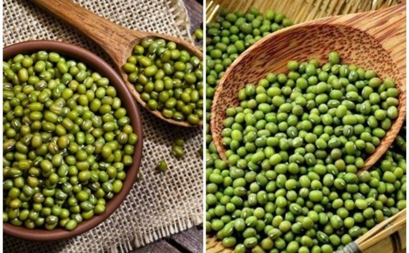 Lower Support Car Familiar seeds that help lower uric acid