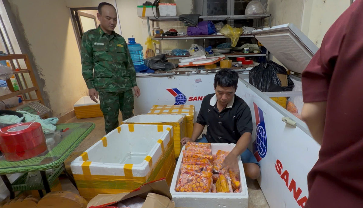 Tricks to smuggle smuggled young chicken eggs from Lao Cai border gate ...