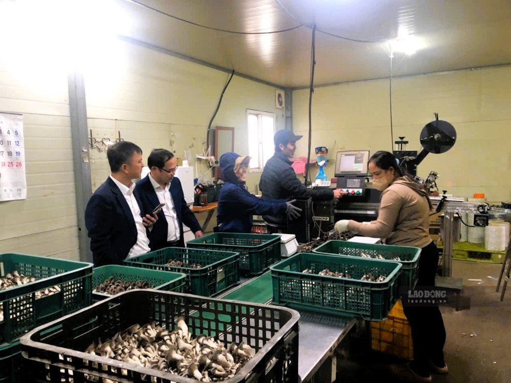 Đoàn công tác Sở Nội vụ tỉnh Lào Cai nắm tình hình người lao động đang làm việc tại Hàn Quốc