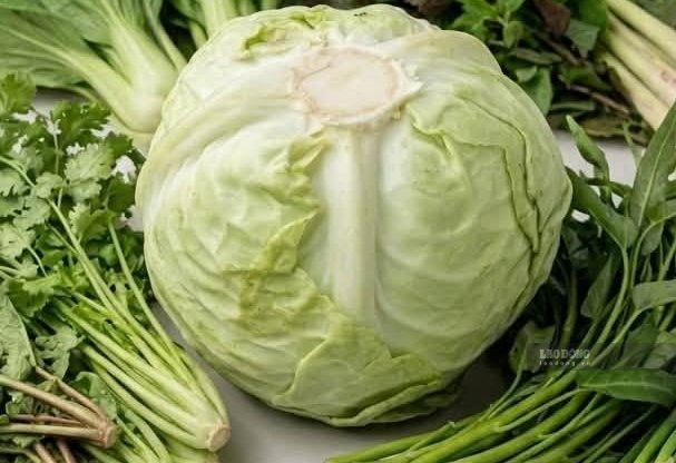 Vegetable that can support body detoxification, good for liver function