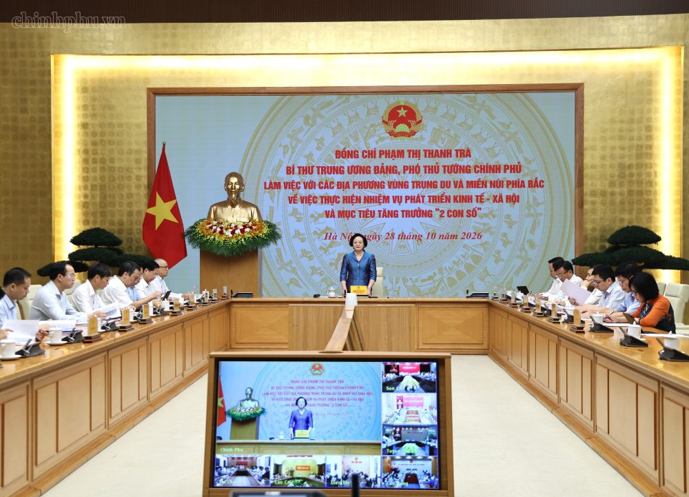 Deputy Prime Minister directs the bases for building current job positions