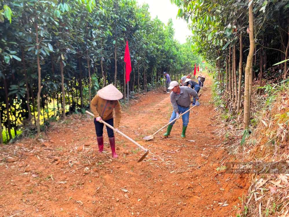 70 hộ dân tại xã Việt Hồng hiến đất mở tuyến đường dài 3,8 km