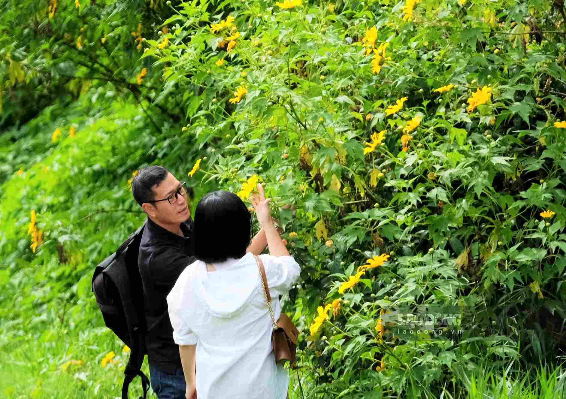 Đôi bạn trẻ dừng chân bên sườn đồi, cùng ngắm sắc vàng rực rỡ của hoa dã quỳ. Giữa nắng cao nguyên, khoảnh khắc bình yên ấy càng thêm thi vị giữa khung cảnh thiên nhiên thơ mộng của Đà Lạt. Ảnh: Phúc Khánh