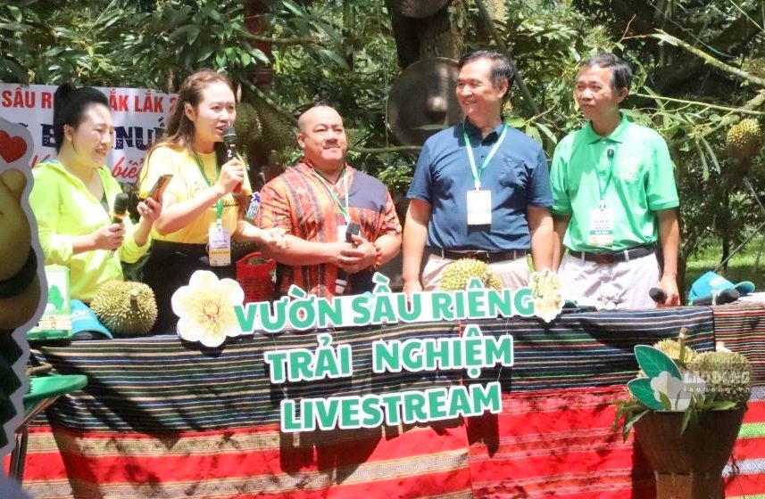 Ea Knuếc Durian Boosts Local Economy Through Exports and Digital Transformation