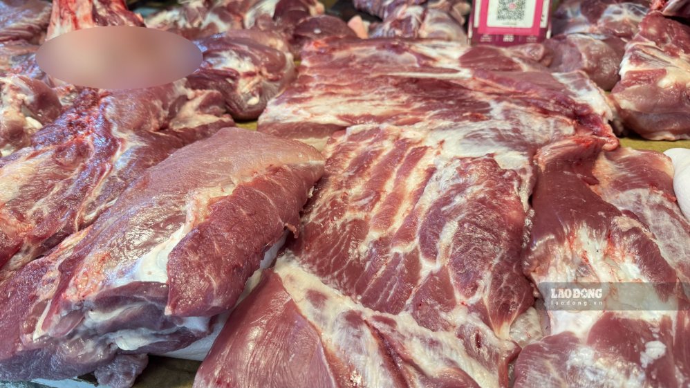 Live hog price today 7.10: Continues to decrease, highest is 55,000 VND/kg