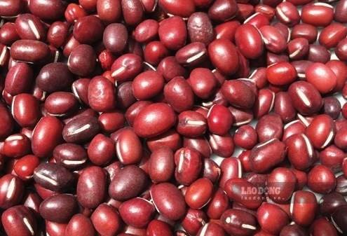 How to use red beans that are good for gout patients, supporting uric ...